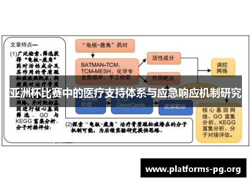 亚洲杯比赛中的医疗支持体系与应急响应机制研究