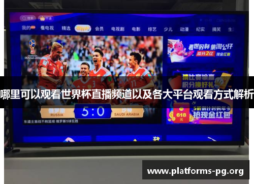 哪里可以观看世界杯直播频道以及各大平台观看方式解析