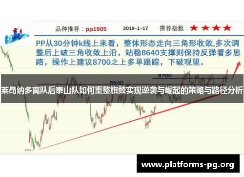 莱昂纳多离队后泰山队如何重整旗鼓实现逆袭与崛起的策略与路径分析