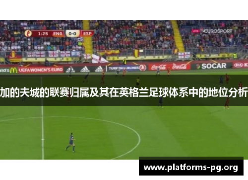 加的夫城的联赛归属及其在英格兰足球体系中的地位分析 加的夫城的联赛归属及其在英格兰足球体系中的地位分析