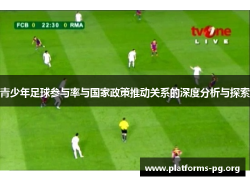青少年足球参与率与国家政策推动关系的深度分析与探索
