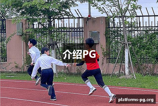 介绍PG